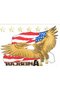 Transfer Eagle W Flag American Heritage 