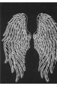 Transfer Angel Wings 