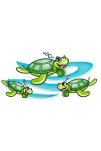 Transfer Turtles 