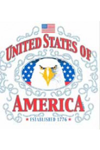 Eagle In Oval With Flag 