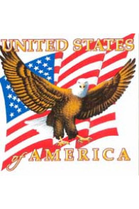 Transfer Eagle With Flag Backdrop 
