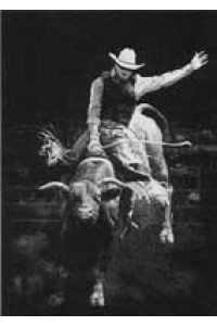 Transfer Rodeo Bull 