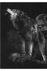 Transfer Lone Wolf 