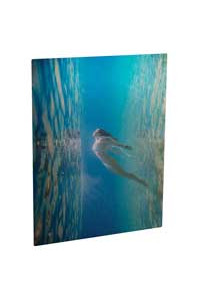 Pann. All. Cl Stamp. 1 Lato Trasp. Sm-luc. 150x200 