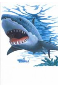 Transfer Shark 