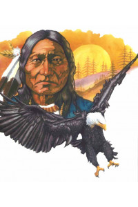 Transfer Sitting Bull 