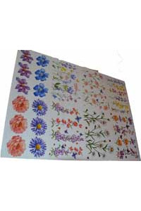 Transfer Mi Floral Stripe 
