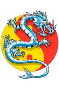 Transfer Chrome Dragon 