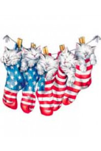 Transfer Kitties R/w/b Stockings Y 