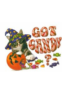 Transfer Got Candy? Youth 