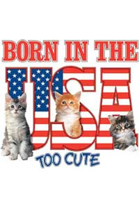 Transfer Born In The Usa Youth 