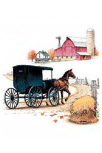 Transfer Amish Buggy 