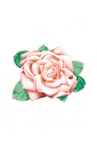 Transfer Pink Rose 