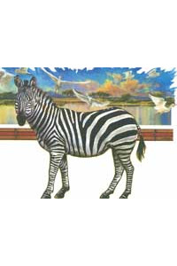 Transfer Zebra 