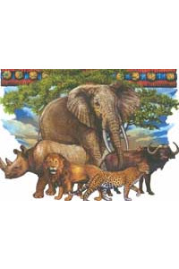 Transfer The Big Five 