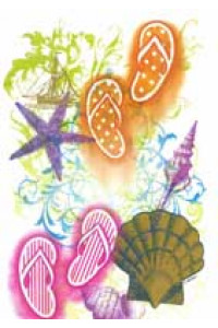 Transfer Flip Flops Shells 