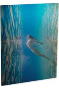 Pann. Fot. All. Cl Trasp. Lucido 762x1016x1,14 Mm 