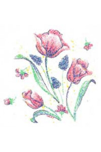 Pink Tulips 