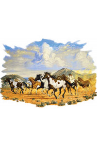 Transfer Passion Of Paints 
