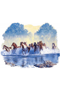 Transfer Free Spirits 