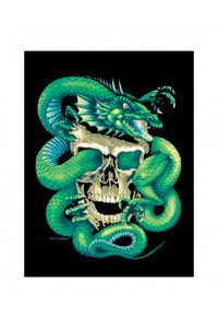 Transfer Dragon Skull 