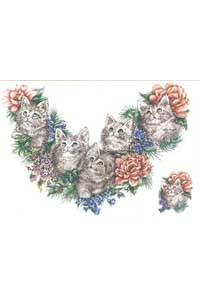 Transfer Floral Kitten Yoke 