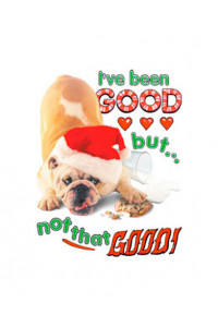 Transfer Santa,i've Been Good..yth 