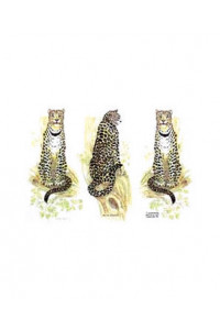 Transfer 3 In A Row Leopards 