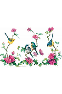 Transfer 3 In A Row Finches 