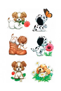Transfer Morehead Puppy Collection 