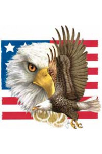 Transfer Freedom 