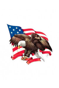 Transfer Made In America 