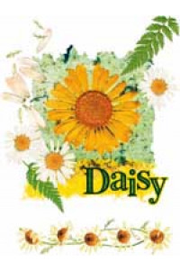 Transfer Daisy 