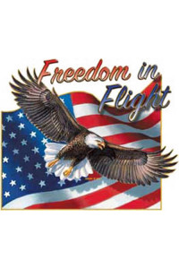 Freedom In Flight 