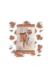 Transfer Tiger 