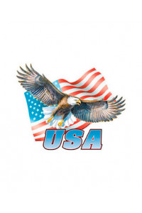 Transfer Eagle//flag Usa 