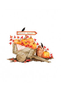 Transfer Pumpkin Patch 