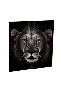 Pann.all. Cl Stam.1 Lato Bi.sm-luc. 1200x1200x1,14 