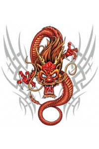 Transfer Raging Dragon 