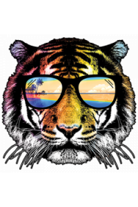 Transfer Summer Tiger 