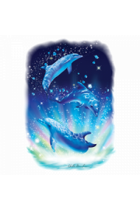Transfer Dolphin Magic 