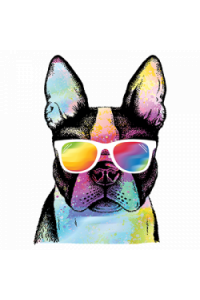 Transfer Summer Pug 