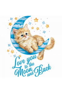 Transfer Moon Kitten 