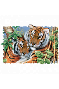 Transfer Tiger Tiger 