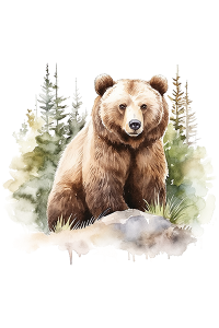 Transfer Watercolor Brown Bear 
