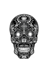 Transfer Bright Sugar Skull 