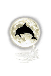 Transfer Dolphin Moon 