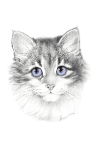 Transfer Lavender Cat 