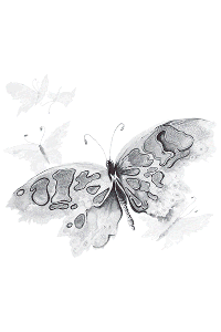 Transfer Watercolor Butterfly 