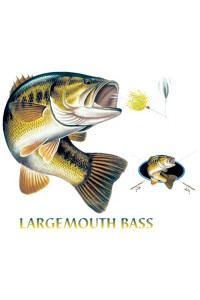 Transfer Largemouth Bass Combination W/crest 